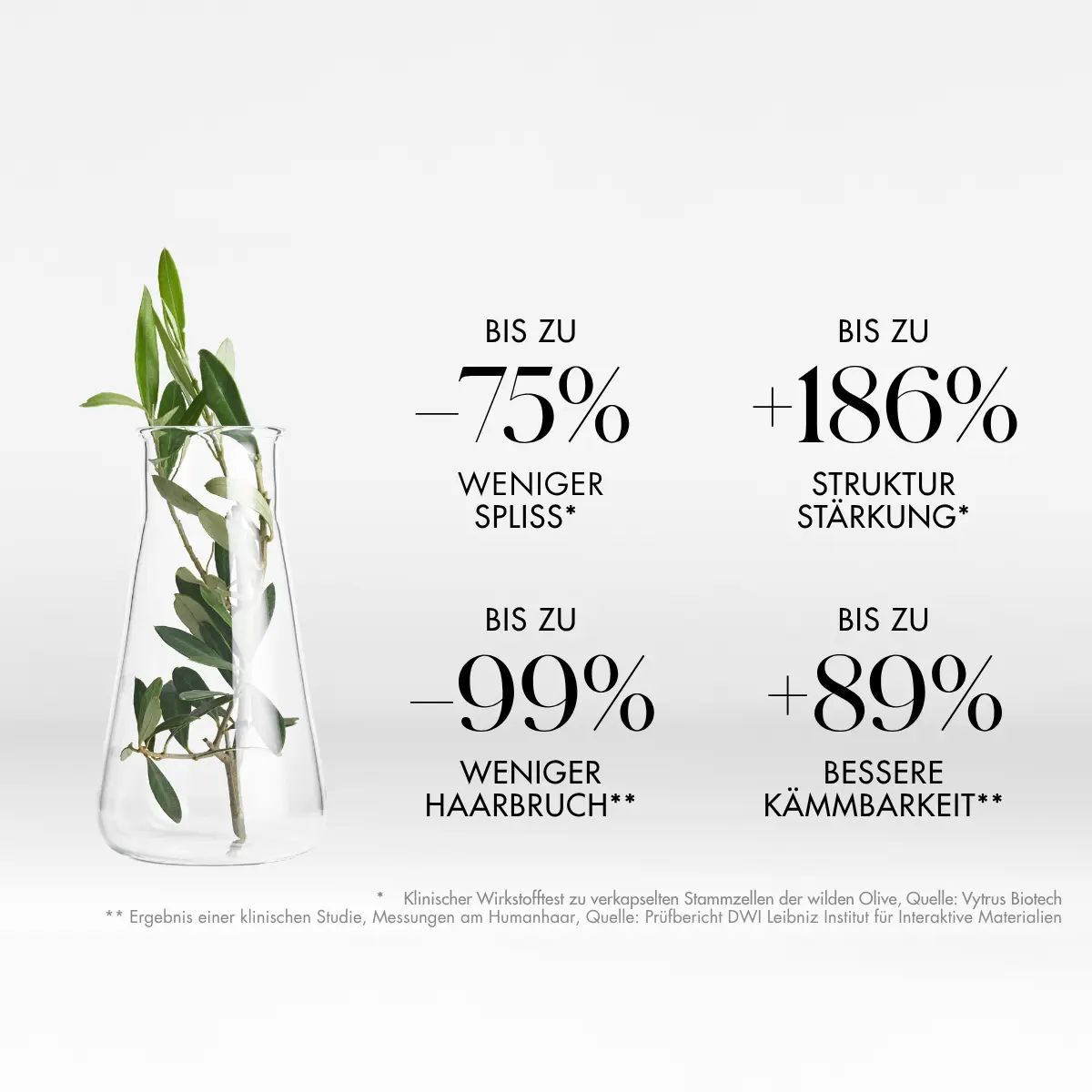 11 Long Hair Bio Tech Zukunft für Deine lange Haare Wirkstoff wilde Olive